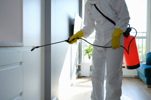 Attic Mold Removal in Richland, GA