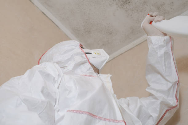 Best Local Mold Removal Service  in Richland, GA