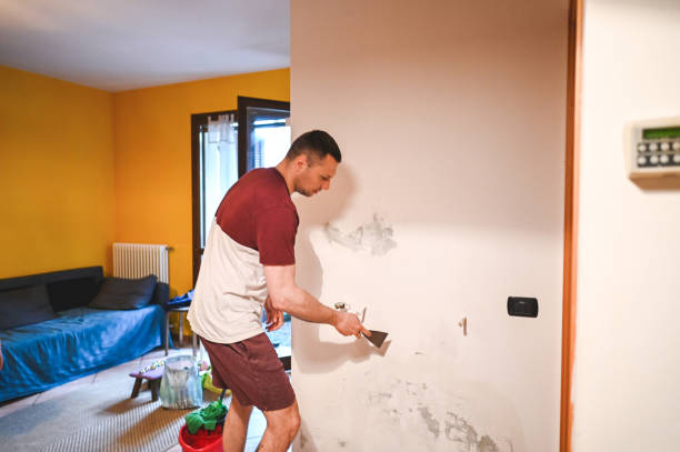 Best Affordable Mold Removal  in Richland, GA