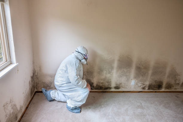 Best Home Mold Removal  in Richland, GA