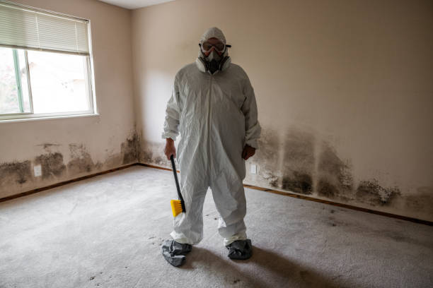 Best Fast Mold Removal  in Richland, GA