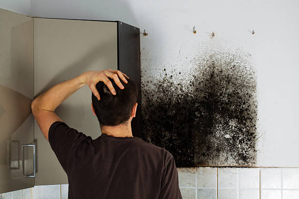 Best Mold Testing  in Richland, GA